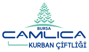 Çamlıca Kurban Çiftliği